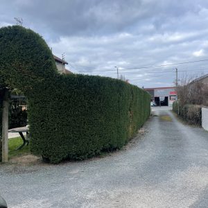 fbe00dfa-bb22-42da-9b8e-1a93ffea1302